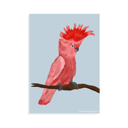 Parrot