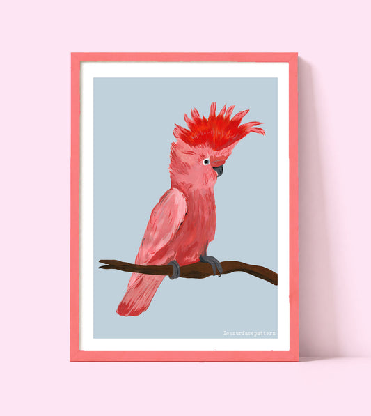 Parrot print